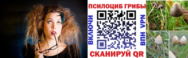 Псилоцибиновые грибы Magic Shrooms  Вольск 